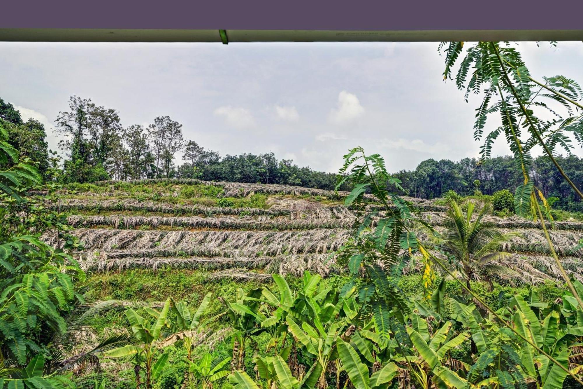 Spot On Shalom Palace Residency Neriyamangalam ภายนอก รูปภาพ
