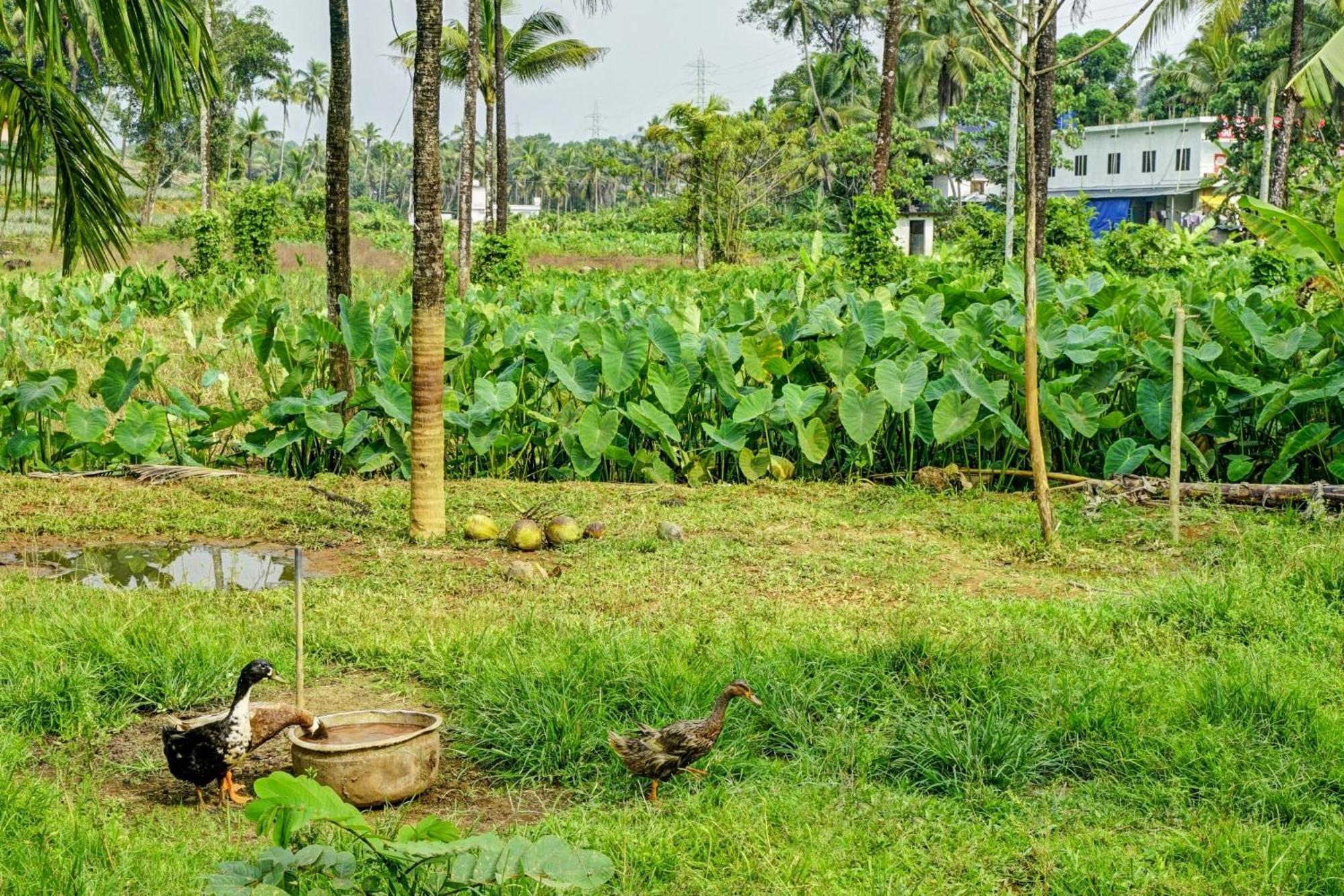 Spot On Shalom Palace Residency Neriyamangalam ภายนอก รูปภาพ